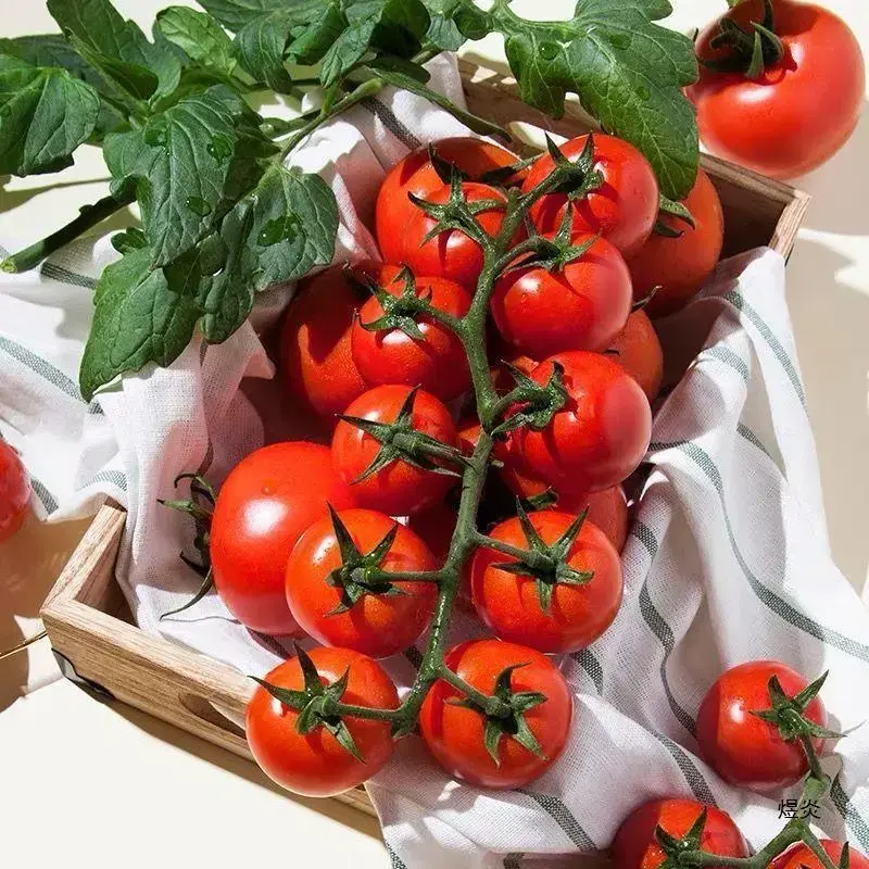 tomatoes